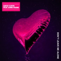 DAVID GUETTA feat ANNE - Marie - Don't Leave Me Alone Chords and Lyrics