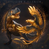 EXCISION AND ILLENIUM feat SHALLOWS - Gold (Stupid Love) Chords and Lyrics