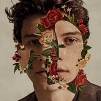 SHAWN MENDES - Because I Had You Chords and Lyrics