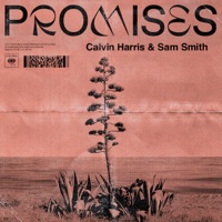 CALVIN HARRIS, SAM SMITH - Promises Chords and Lyrics
