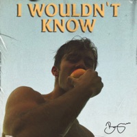 BENJAMIN INGROSSO - I Wouldn't Know Chords and Lyrics