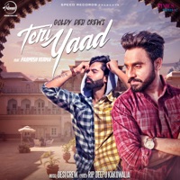 GOLDY DESI CREW feat PARMISH VERMA - Teri Yaad Chords and Lyrics