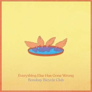 BOMBAY BICYCLE CLUB - Racing Stripes Chords and Lyrics