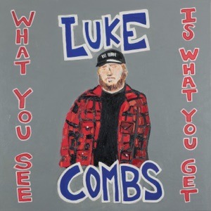 LUKE COMBS - Reasons Chords and Lyrics