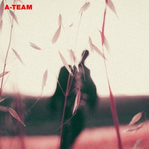 TRAVIS SCOTT - A Team TRAVIS SCOTT - A Team