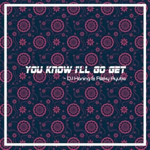 DJ HANING feat RIZKY AYUBA - You Know I'll Go Get Chords for Guitar and Piano