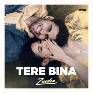 ZAEDEN - Tere Bina Chords for Guitar and Piano ZAEDEN - Tere Bina Chords for Guitar and Piano