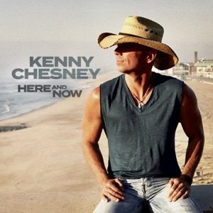 KENNY CHESNEY - Happy Does Chords for Guitar and Piano