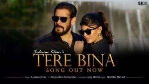 SALMAN KHAN - Tere Bina Chords for Guitar and Piano SALMAN KHAN - Tere Bina Chords for Guitar and Piano